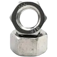 Hex Nut #316 SS